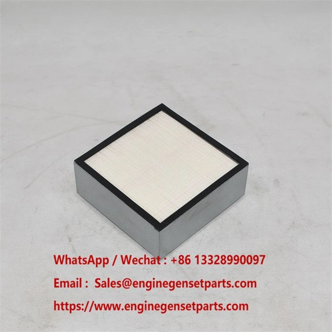 P502481 DGBW (10)